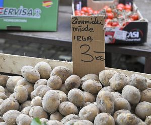  Ceny nowalijek na warszawskich bazarach szokują. Byliśmy i sprawdziliśmy ile trzeba zapłacić