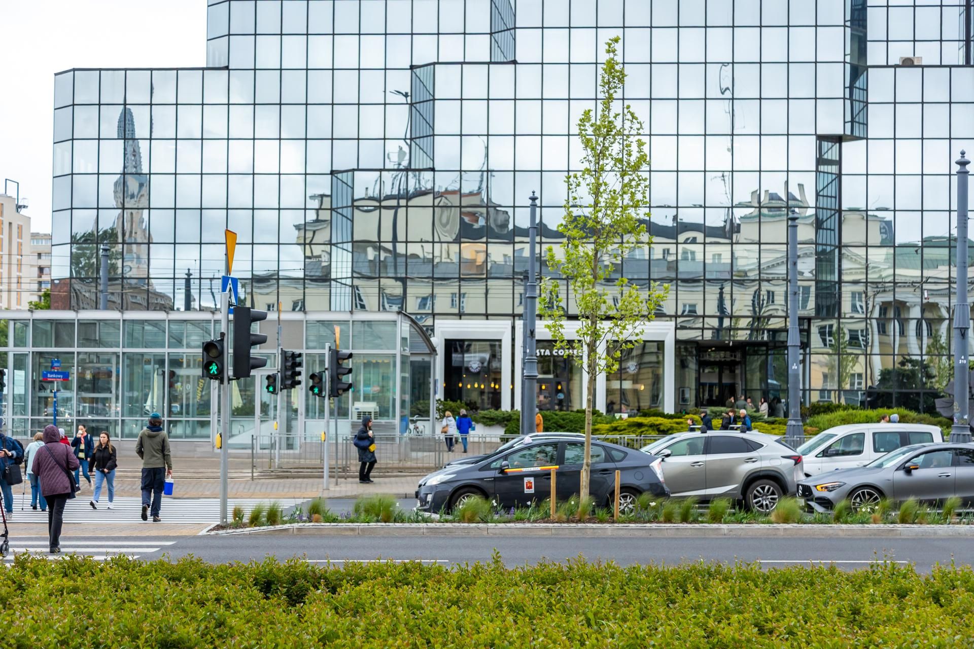 Sadzenie zieleni na placu Bankowym w maju 2025 r.