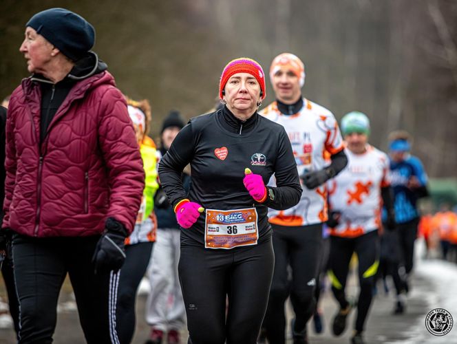 Ponad 230 uczestników pobiegło w Częstochowskim Biegu Policz się z cukrzycą