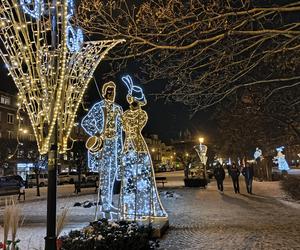 Gdańska choinka rozbłysła. Zobaczcie nasze zdjęcia!