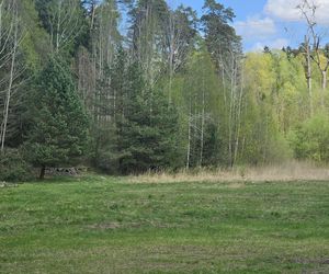 Stadion Leśny w Olsztynie dawniej i dziś. To tam bito rekordy świata w lekkiej atletyce