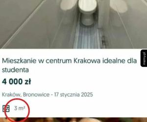 Najlepsze memy o deweloperach