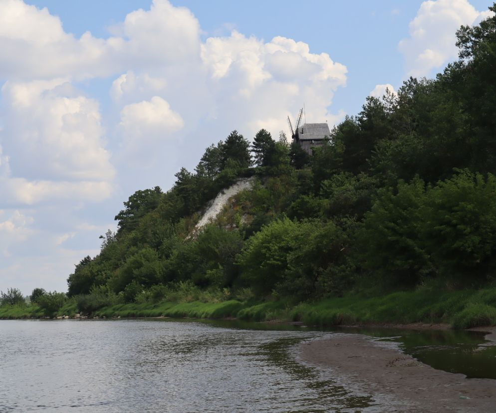Nowy rezerwat przyrody w woj. lubelskim? Bajkowy Mięćmierz może być jego częścią