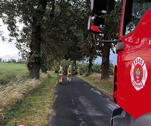 Potężna burza przeszła przez Bydgoszcz i region. Ponad 400 interwencji strażaków!