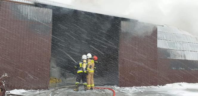 ZDJĘCIA z pożaru hali w Pieńkach Wielkich! Domownicy uratowali członka rodziny! OGROMNE straty