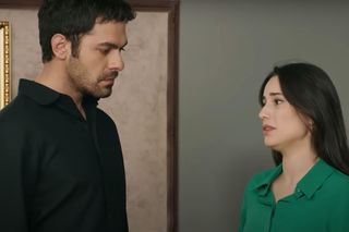 Wichrowe wzgórze 116 - streszczenie 