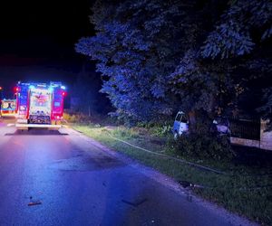 Śmiertelny wypadek pod Radomskiem. 42-latek nie żyje. Jego bus spłonął [ZDJĘCIA].
