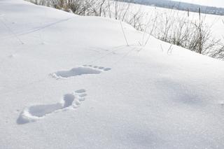Zimowe treningi: chodzenie boso po śniegu