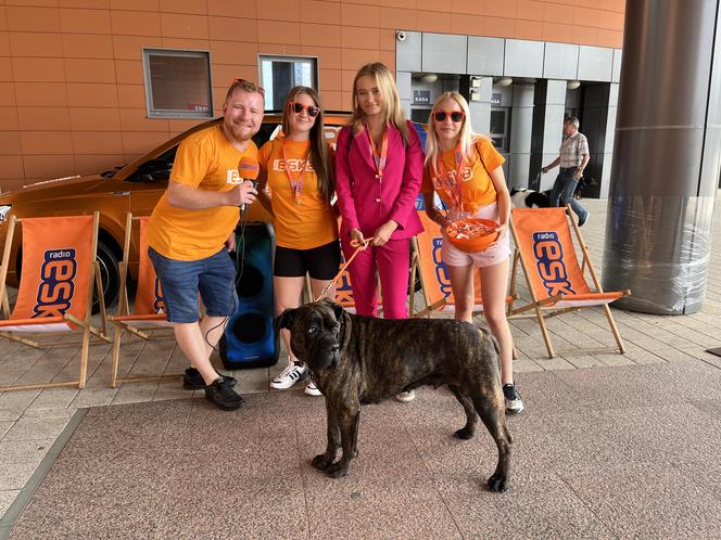 ​XXVII Międzynarodowa Wystawa Psów Rasowych - POMERANIA SHOW