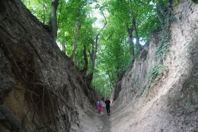 Sandomierz. Wąwóz Św. Królowej Jadwigi