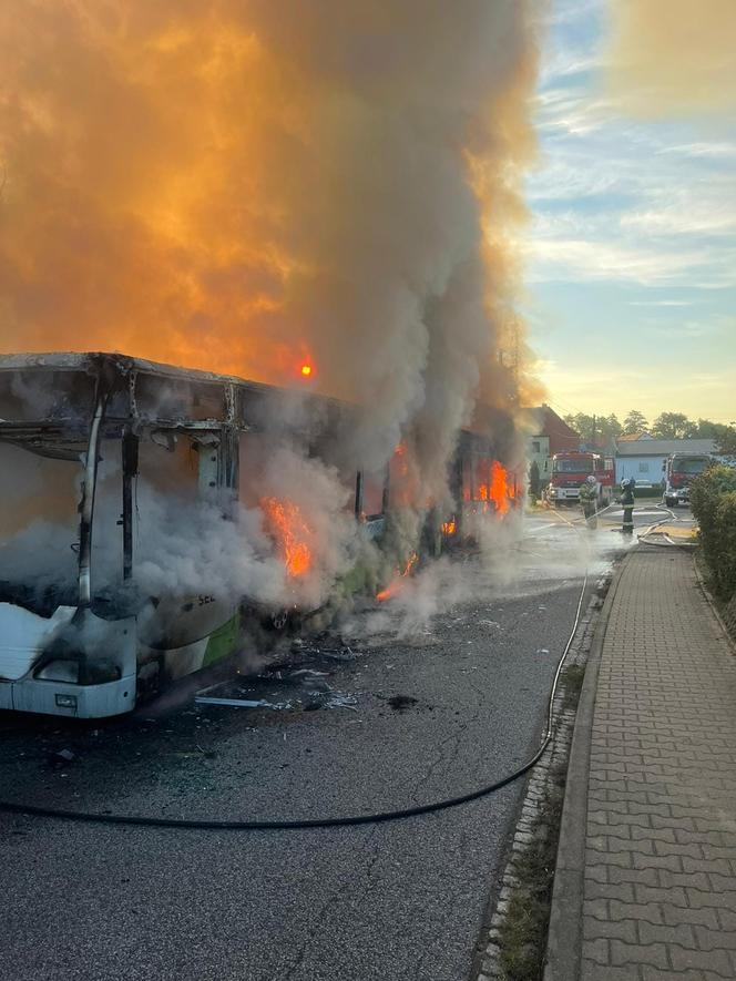 Pod Szczecinem spłonął niemiecki autobus