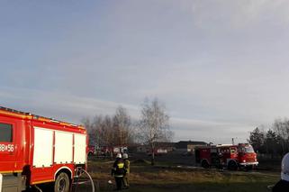 OGROMNY pożar w powiecie świeckim! Jedna osoba poszkodowana