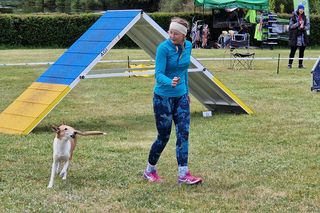 Zawody Agility w Myślęcinku. Psy walczyły o tytuł najzwinniejszego!