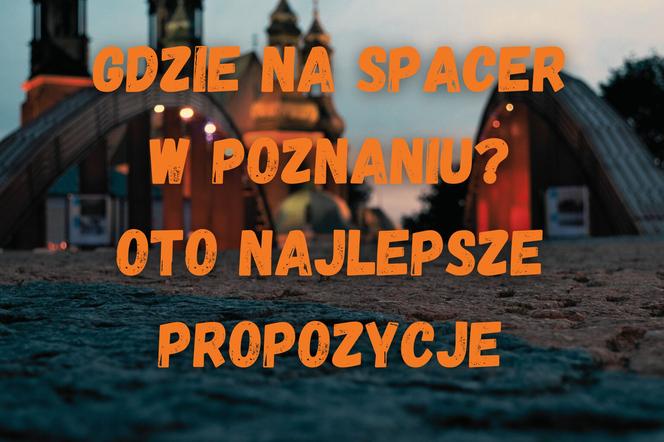 Gdzie na spacer w Poznaniu? Oto najlepsze propozycje! 