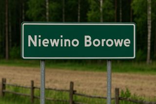 TOP 10 najzabawniejszych nazw miejscowości w Podlaskiem. Te wsie istnieją naprawdę!