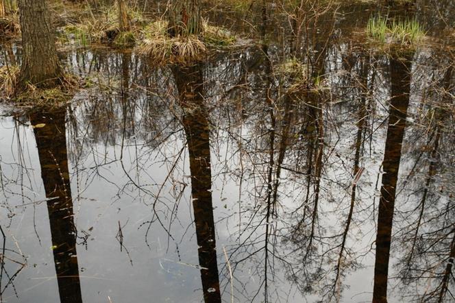 Park Krajobrazowy Wzniesień Łódzkich