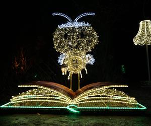  Lumina Park w Lublinie kończy sezon 2023/2024. Zobacz zdjęcia ze spaceru po parku iluminacji