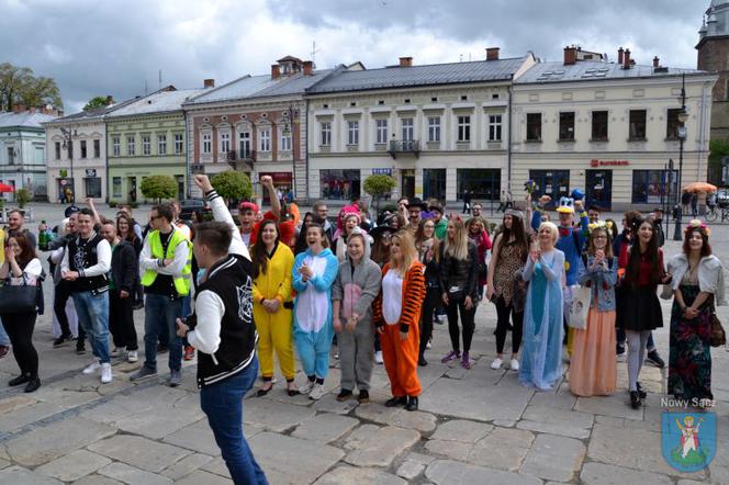 Juwenalia 2019. Studenci podczas korowodu, który przeszedł ulicami Nowego Sącza