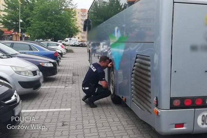 Gorzów: Policja i ITD sprawdzą autokar wiozący dzieci na wypoczynek. Wystarczy zadzwonić