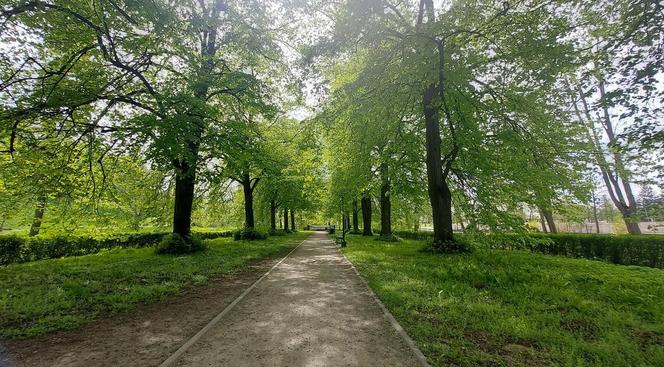 Zamość