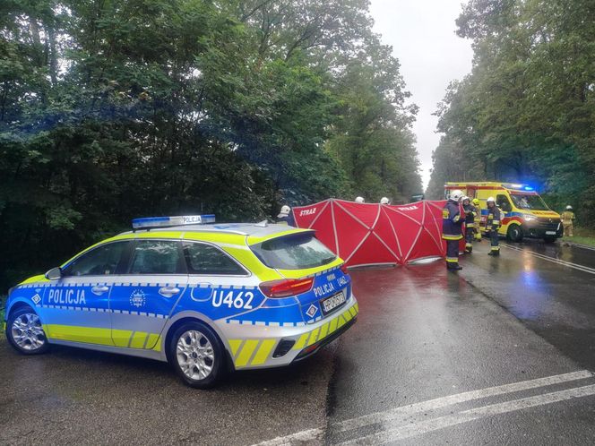 Śmiertelny wypadek na DK 69 pod Kępnem. Nie żyje dwóch kierowców 