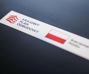Żona posła milionera z dofinansowaniem z KPO. „Nie można się przyczepić” 