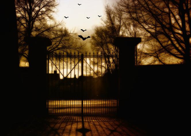 Szukali skarbów w niemieckich mogiłach. Później ginęli w tajemniczych okolicznościach. Złodzieje padli ofiarą klątwy?