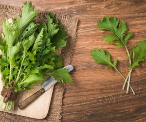 Mizuna, japońska musztarda: wartość odżywcza i zastosowanie kulinarne musztardowca japońskiego