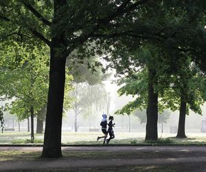  Wykuwamy Biegową Moc w Kikitach - biegamy i chodzimy z kijkami w lesie