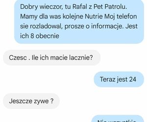 Podszywa się pod wolontariusza fundacji i rozmawia o ubiciu nutrii. Pet Patrol w Rybniku: patrzcie do czego jest zdolna ludzka podłość