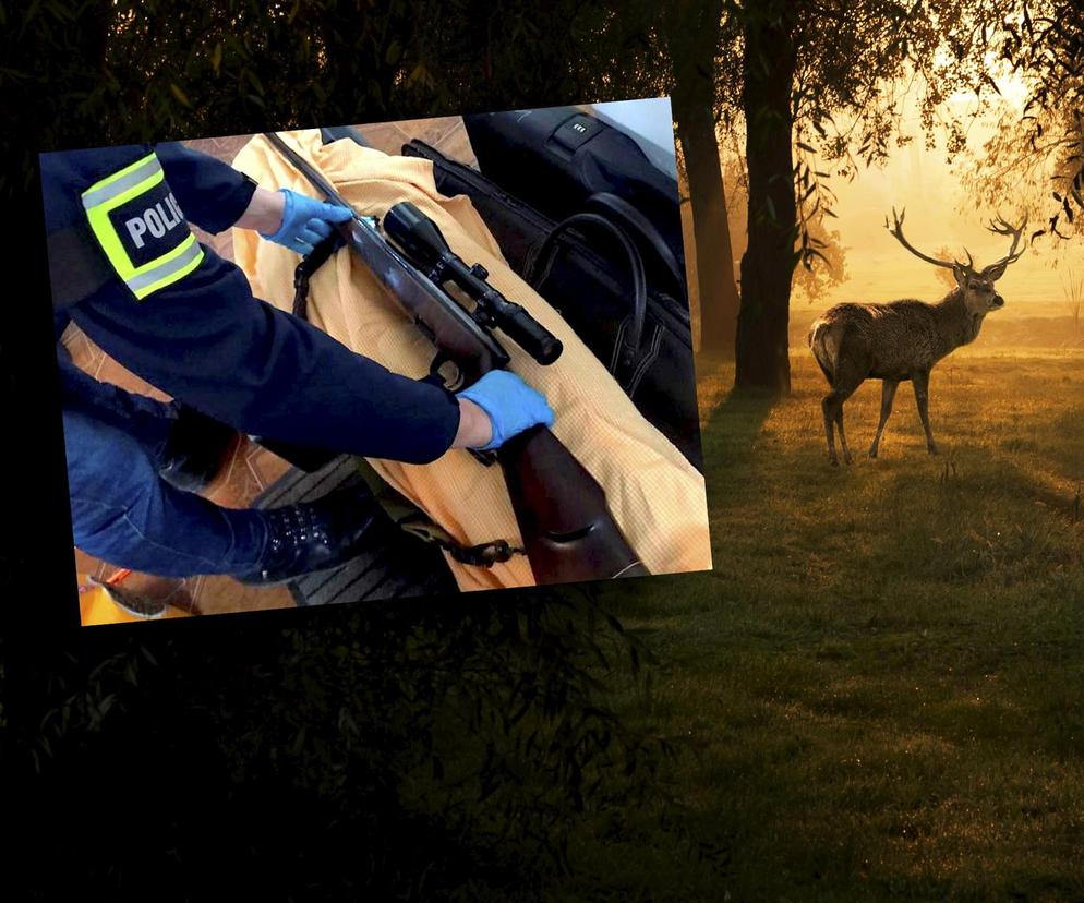 Myśliwy zostawił w lesie 14-letniego syna, uciekając przed policją! Szokujące sceny na nielegalnym polowaniu [ZDJĘCIA]