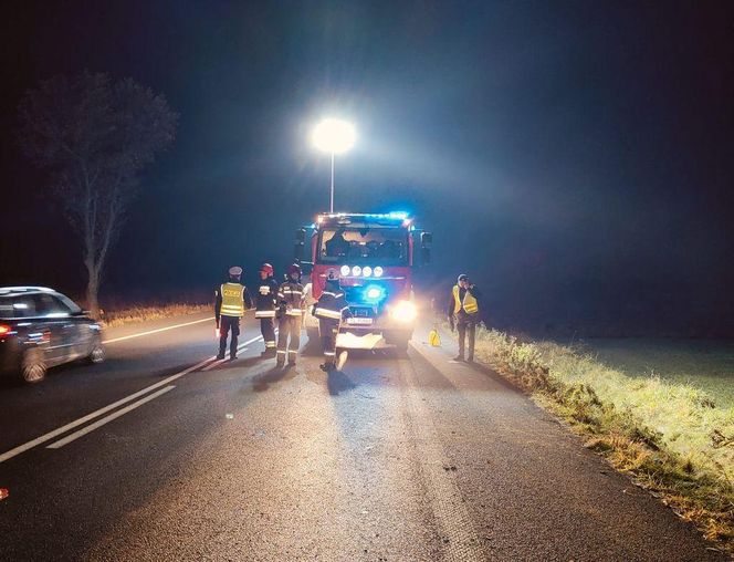 Tragiczny weekend w powiecie wieluńskim. Podczas wypadków zginęły 3 osoby