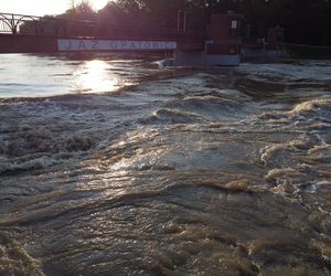 Powódź we Wrocławiu. Tak wygląda Odra w czwartek 19.09.2024 