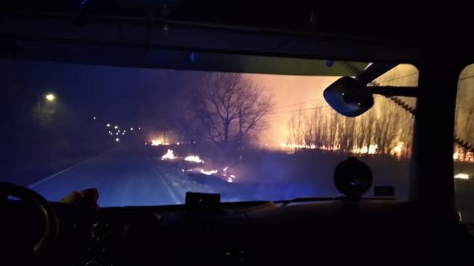 NIE ŻYJE kobieta poparzona w pożarze traw! Seryjne podpalenia na Sądecczyźnie!