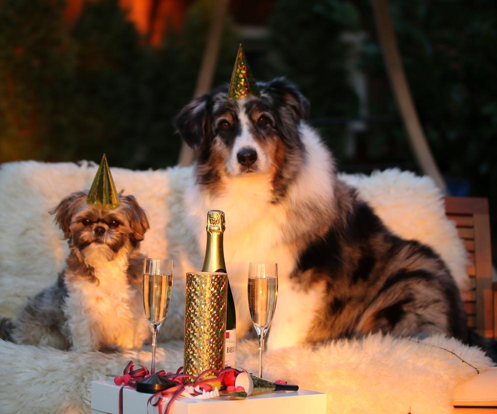 Sylwester i Nowy Rok: Krótkie i fajne pomysły na życzenia noworoczne [EMAIL, SMS, Messenger, Facebook, Instagram]