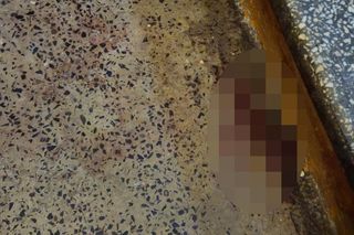 Zabójstwo na szczecińskich Pomorzanach.