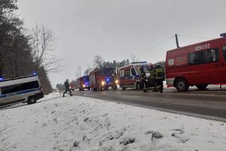 Śmiertelny wypadek w Lidzbarku. Bus uderzył w drzewo. Nie żyje młoda kobieta