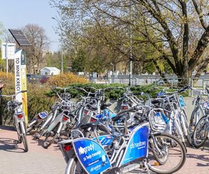 Veturilo wraca na stołeczne ulice. Znamy konkretną datę! „Nowości i niespodzianki”