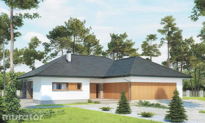 Projekty domów dla dużej rodziny