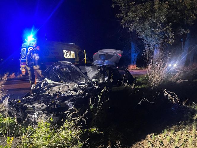 Wichura zmiotła drzewo na samochód. Ojciec i córka poszkodowani