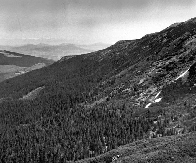 Babia Góra przed wojną. Niesamowite zdjęcia z dawnych lat 