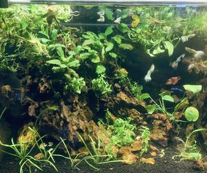 Rozmawiamy z Tomaszem Wiśniewskim, założycielem Aqua Dreams Bydgoszcz