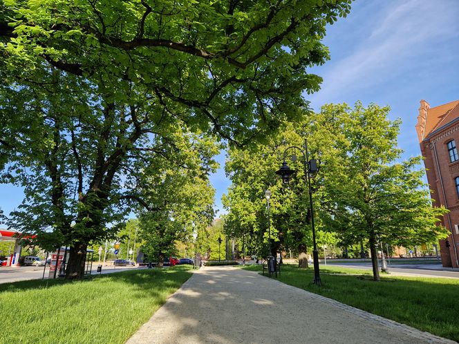 Plac Kościeleckich rozkwita na wiosnę. Bydgoszczanie chętnie wybierają go na spacer