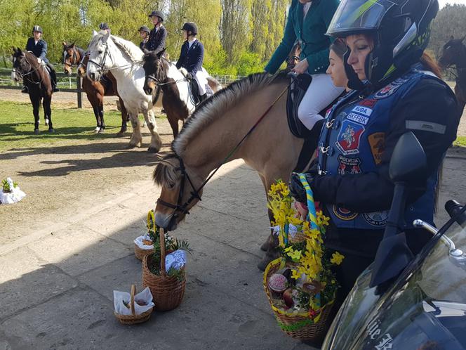 Święcenie pokarmów na koniach