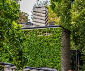 Willa Romualda Gutta na Kolonii Profesorskiej w Warszawie