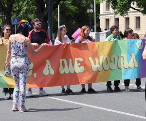 Ulicami Lublina przeszedł VI Marsz Równości! Zobacz zdjęcia