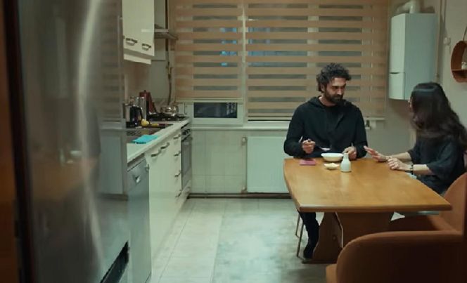 Dziedzictwo, odcinek 673. Ayse, Ferit