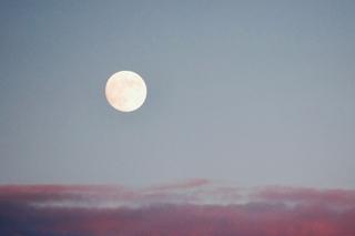 Pełnia w sierpniu 2023. Księżyc Jesiotrów zaświeci pełnym blaskiem. Magiczny początek miesiąca!