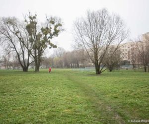 Co powinno się tam znaleźć? - Rozpoczeły się konsultacje społeczne dotyczące nowego miejsca rekreacji które powstanie na Ustroniu