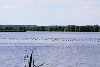 Park Krajobrazowy Dolina Baryczy